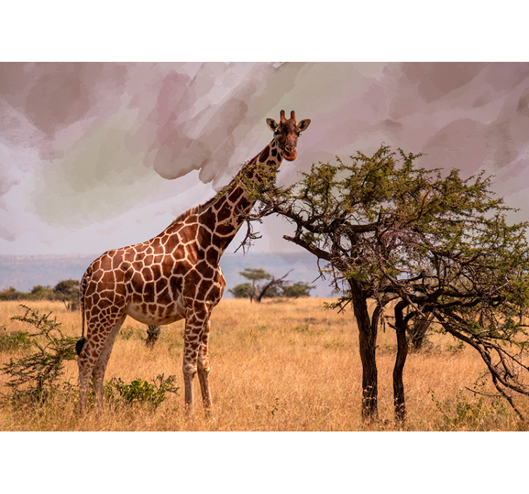 Giraffe in Nature animal wall mural - TenStickers