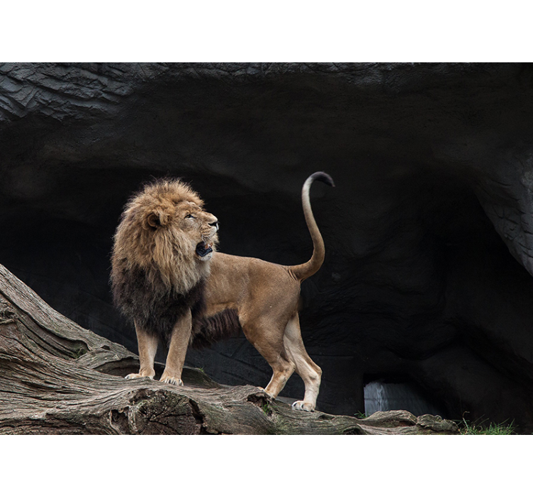 Lion mural majestic lion portrait - TenStickers