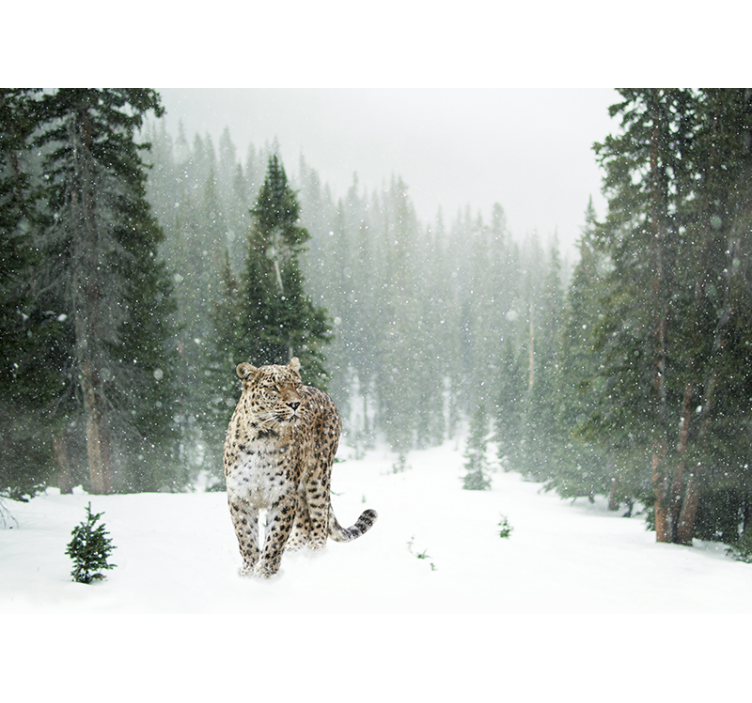 Animal wall mural snowy leopard walk - TenStickers