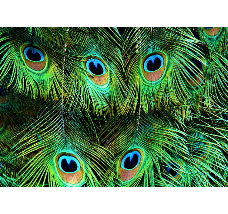 Animal wall mural peacock feather design - TenStickers