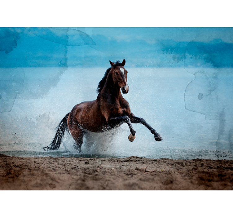 Galloping Horse animal wall mural - TenStickers