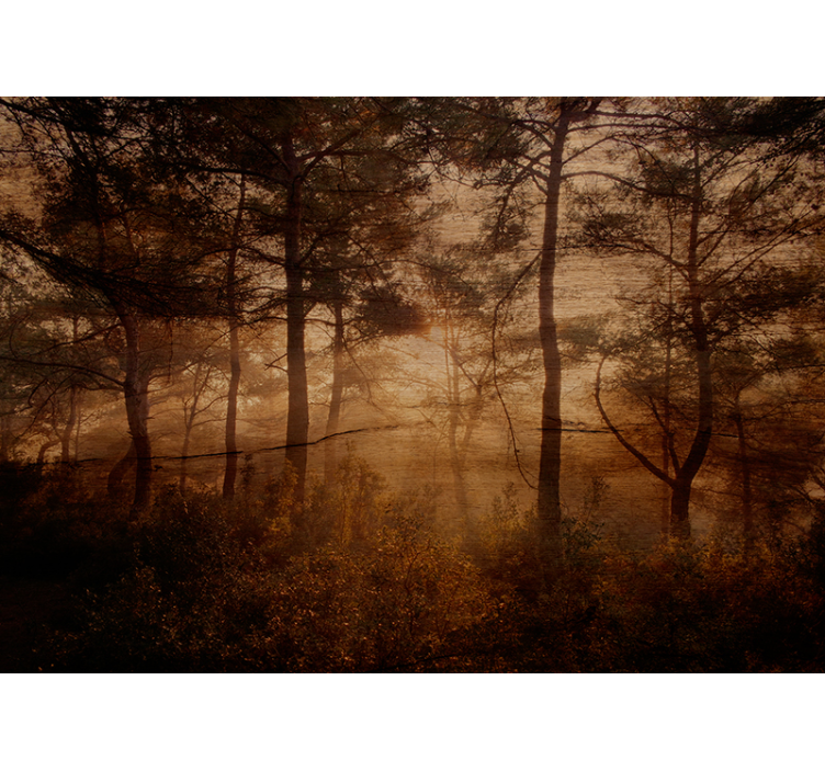 Forest wall mural foggy woodland view - TenStickers
