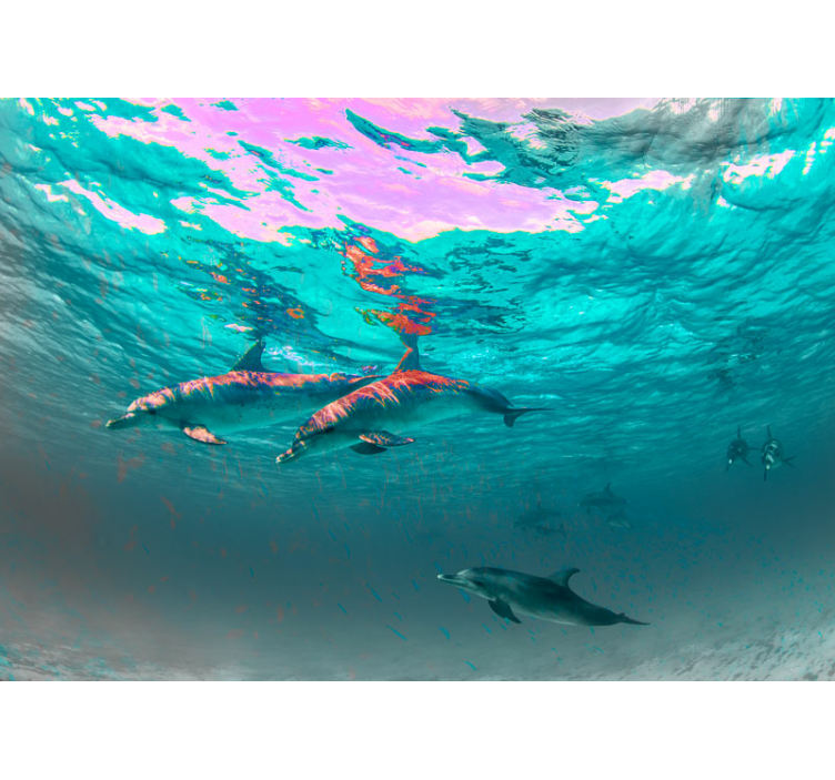 Animal wall mural dolphins swimming playfully - TenStickers