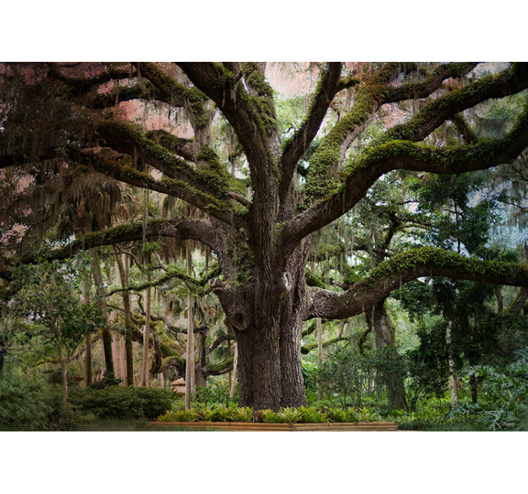 Large beautiful tree living room wall mural - TenStickers