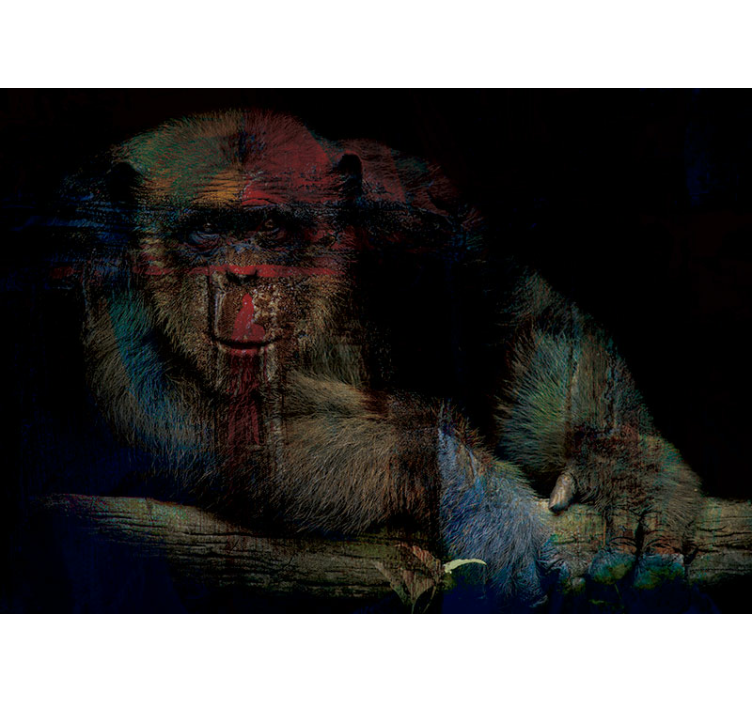 Mysterious Primate Face animal wall mural - TenStickers