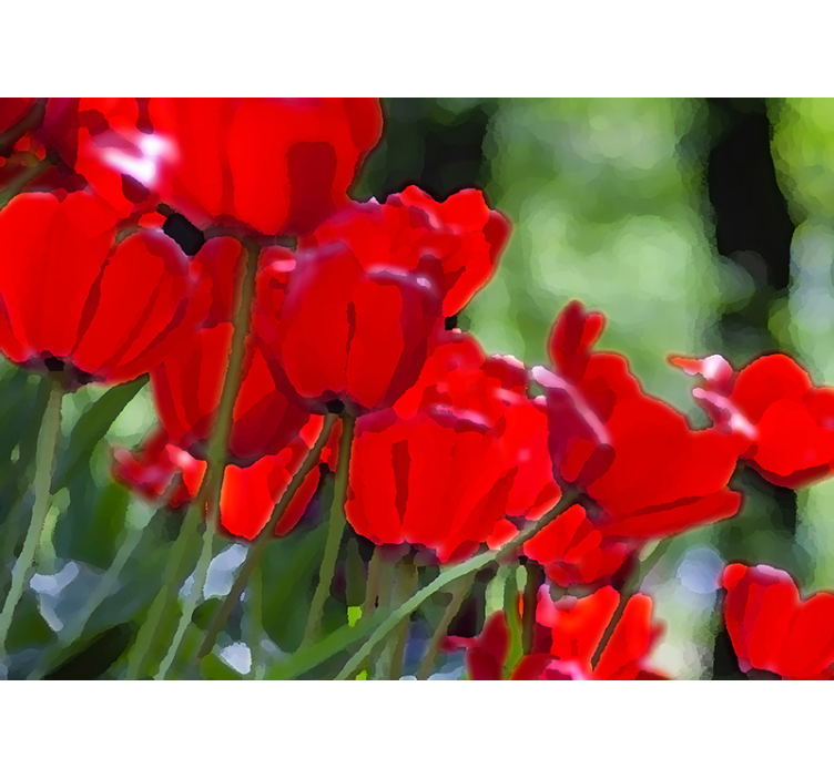 Vibrant Red Blooms poppy wall mural - TenStickers