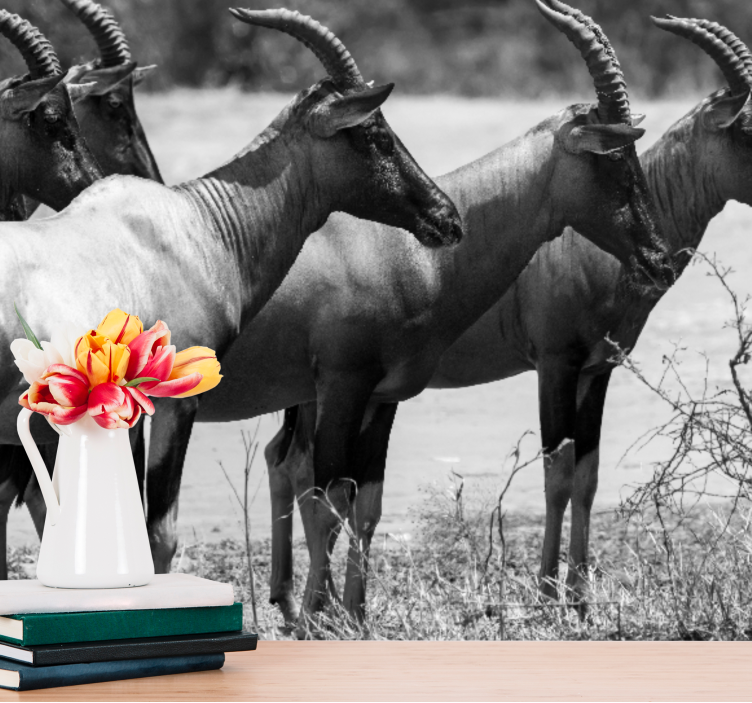 Animal wall mural african antelope herd - TenStickers