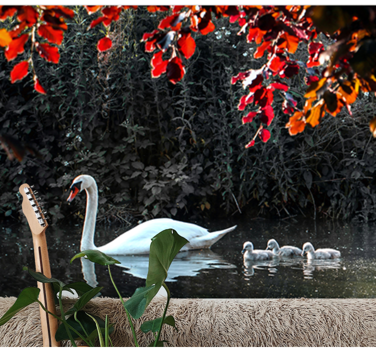 Animal wall mural elegant swan family - TenStickers