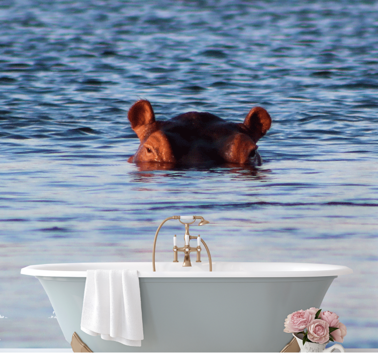 Animal wall mural hippo swimming calmly - TenStickers