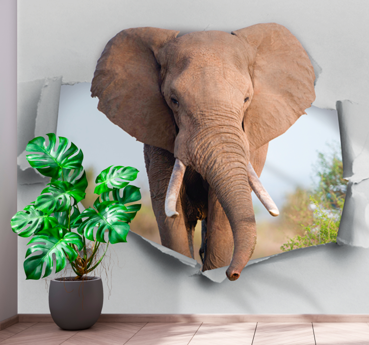 Animal wall mural majestic elephant portrait - TenStickers