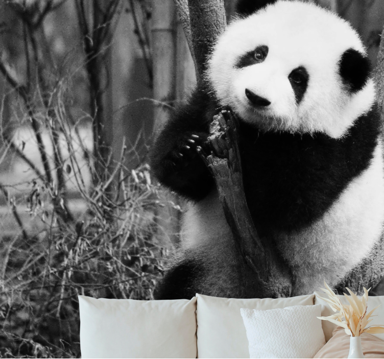 Animal wall mural panda in a tree - TenStickers