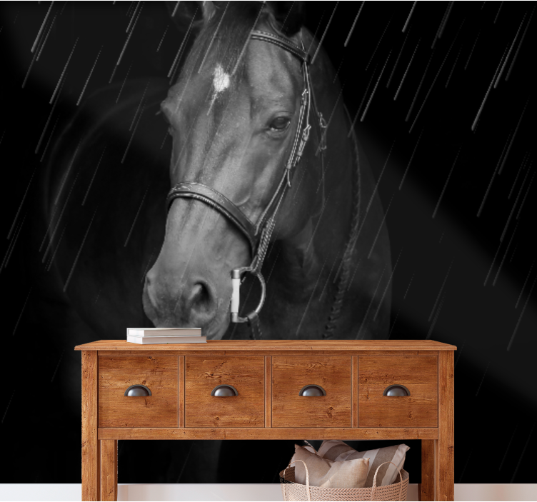 Animal wall mural regal equine portrait - TenStickers