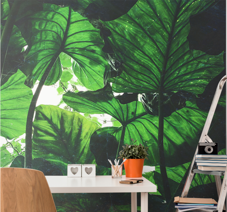 Beautiful green rainforest Forest Wall Mural - TenStickers