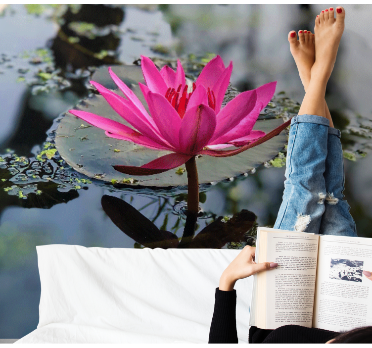Beautiful lotus flower water wall mural - TenStickers