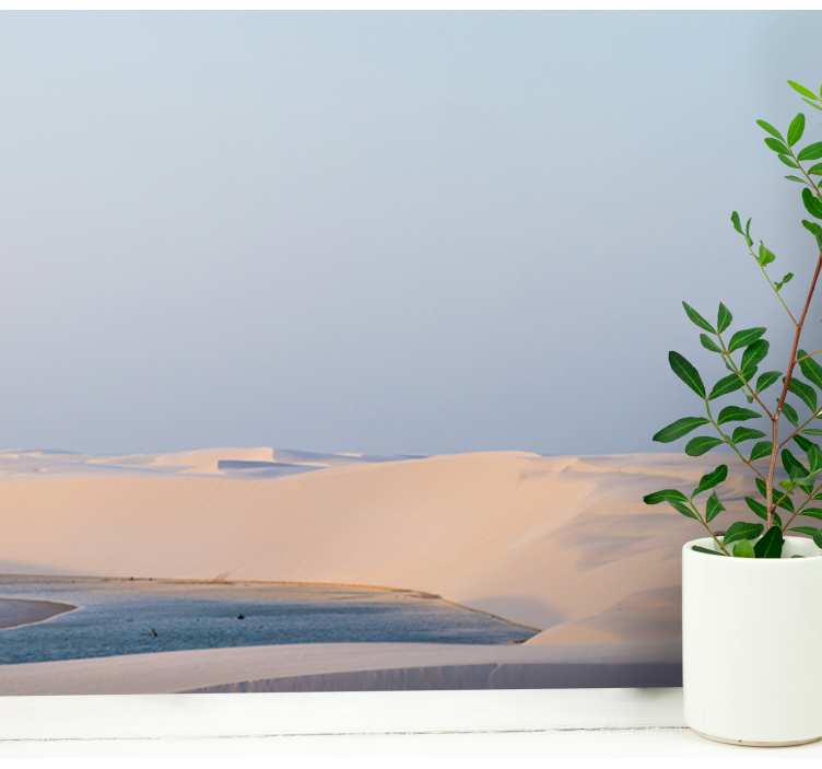 Brazilian desert Desert Wall Mural - TenStickers