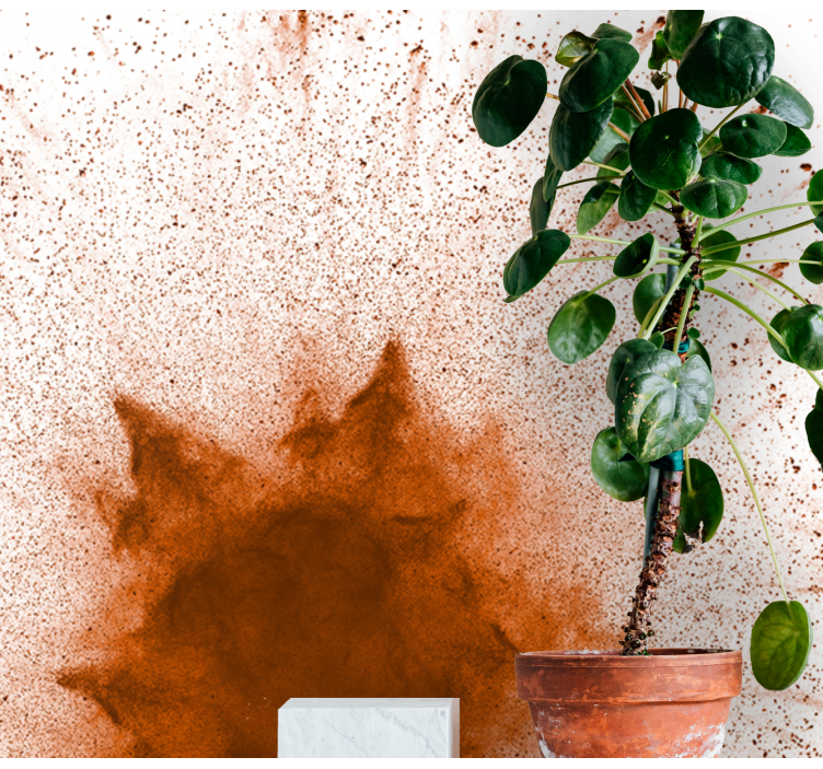 Brown powder explosion Marriage Wall Murals - TenStickers