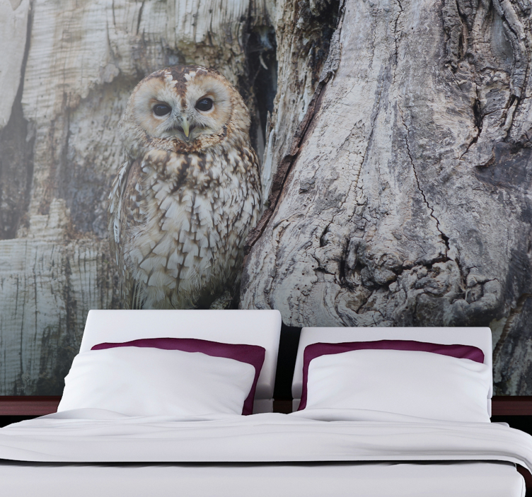 Camouflaged owl wall mural - TenStickers