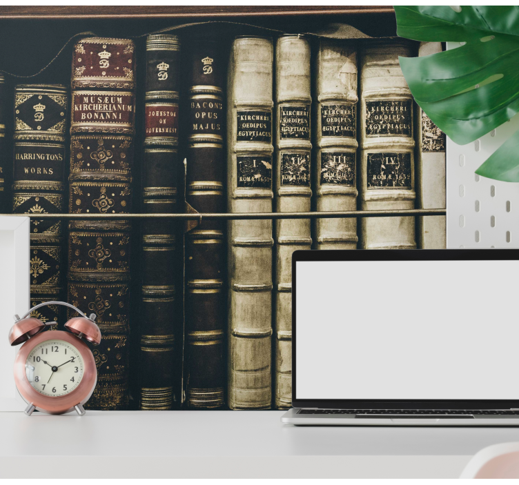 Classic art wall mural antique bookshelf design - TenStickers
