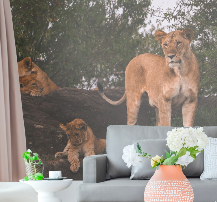 Cute Mom and Baby lions africa wall mural - TenStickers