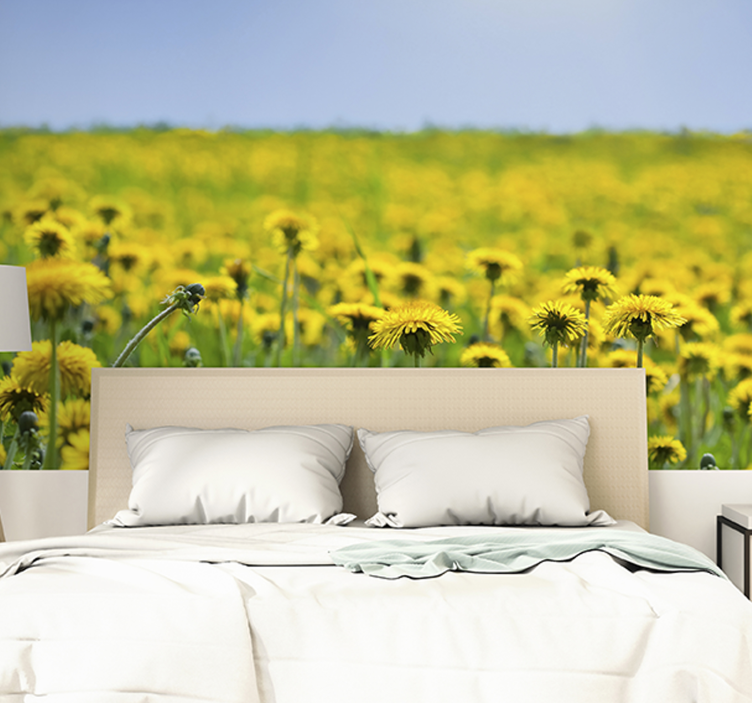 Dandelion mural dandelion field art decor - TenStickers