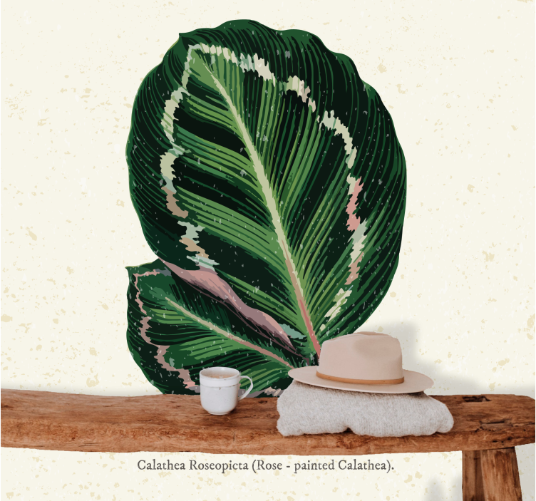 Flower mural calathea leaf artwork - TenStickers