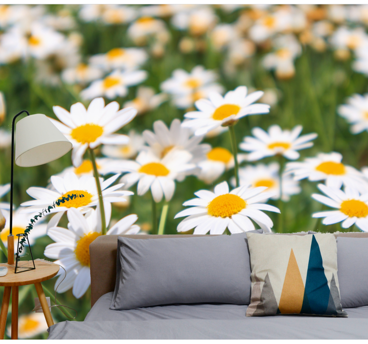 Flower mural daisies blooming brightly - TenStickers
