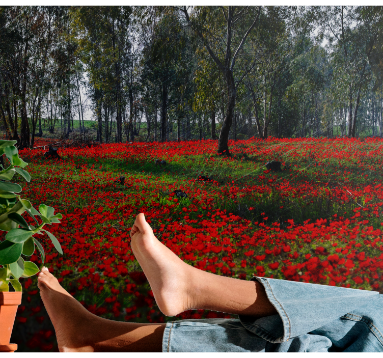Flower mural poppy field tranquility - TenStickers