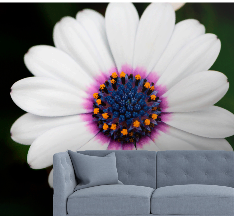 Flower mural white flower blossom - TenStickers