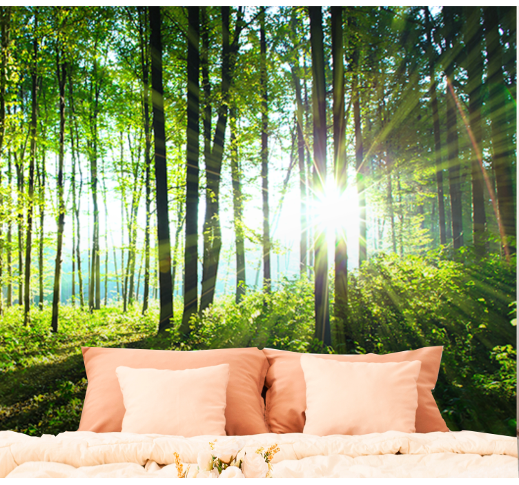forest landscape with light nature wall mural - TenStickers