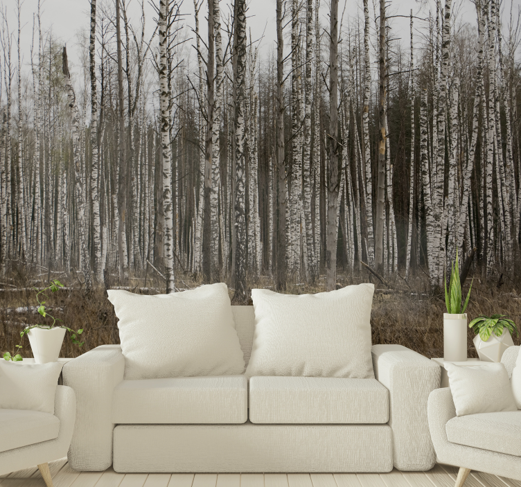 Forest wall mural birch grove wilderness escape - TenStickers