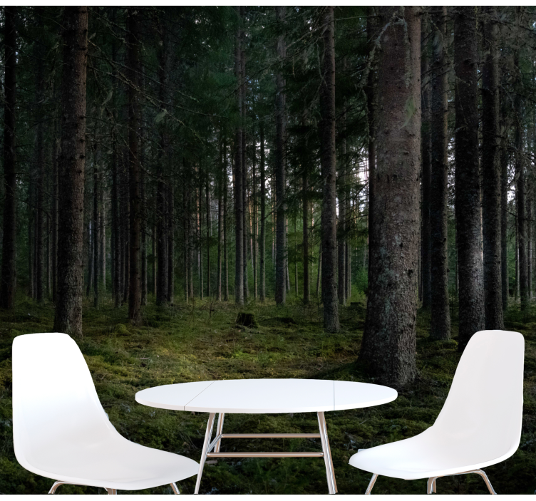 Forest wall mural lush forest scene - TenStickers