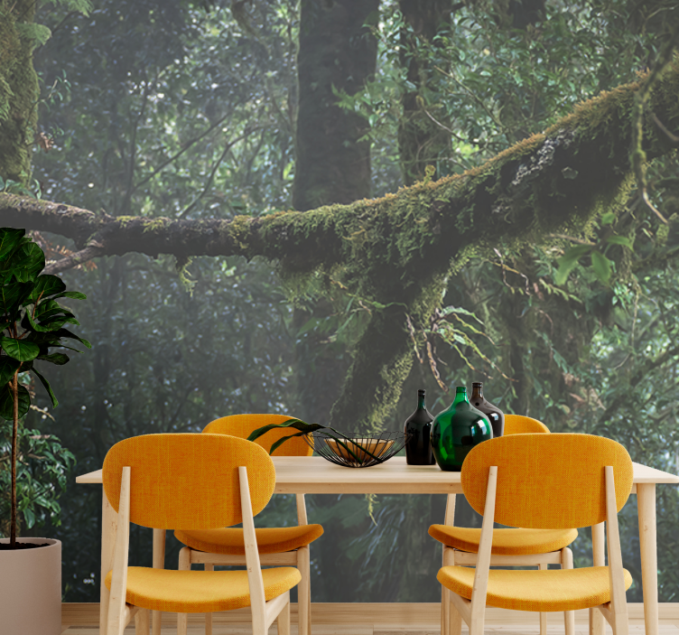 Forest wall mural lush green canopy - TenStickers