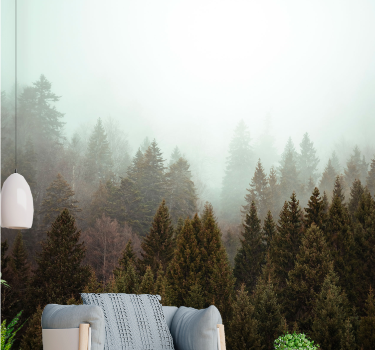 Forest wall mural misty evergreen forest - TenStickers
