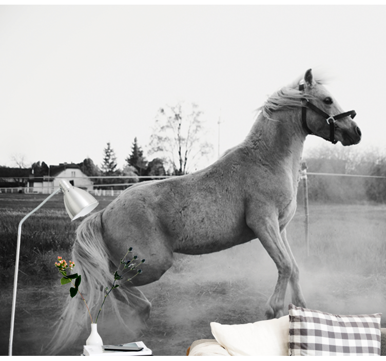 Galloping pony animal wall mural - TenStickers