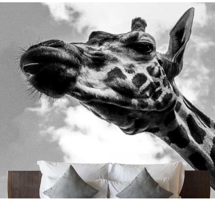 Giraffe Portrait animal wall mural - TenStickers
