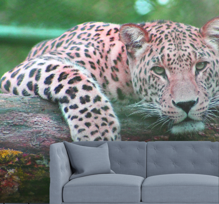 Jaguar jungle forest living room wall mural - TenStickers