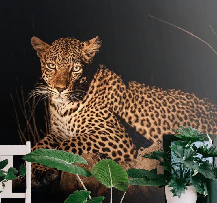 Leopard in Spotlight wall mural - TenStickers