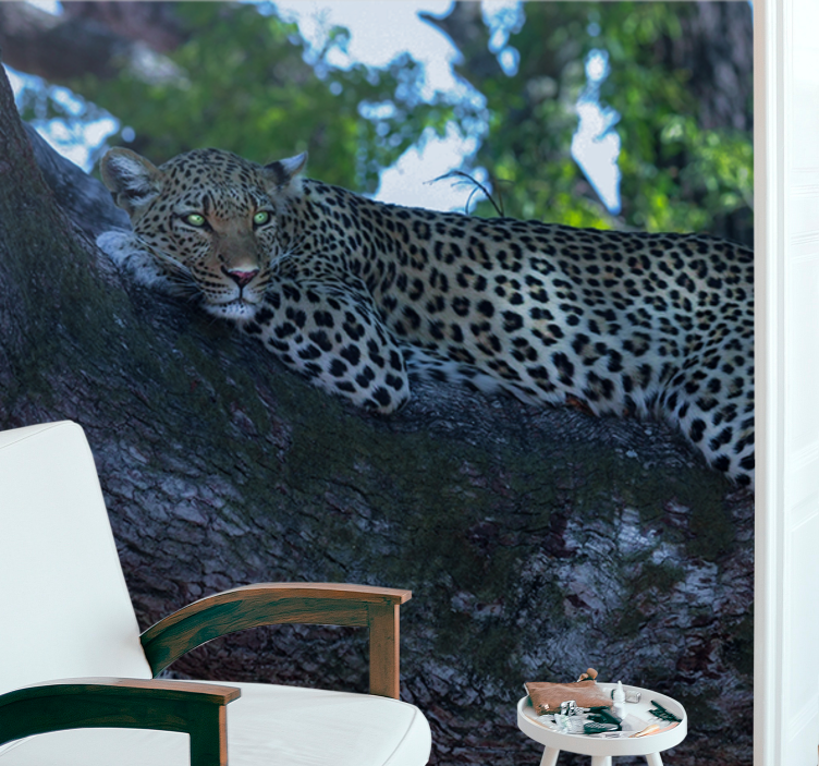 Leopard Resting Comfortably animal wall mural - TenStickers