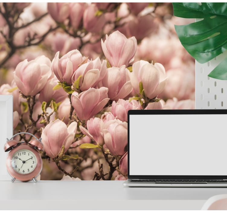 Magnolia flowers design Magnolia Wall Mural - TenStickers