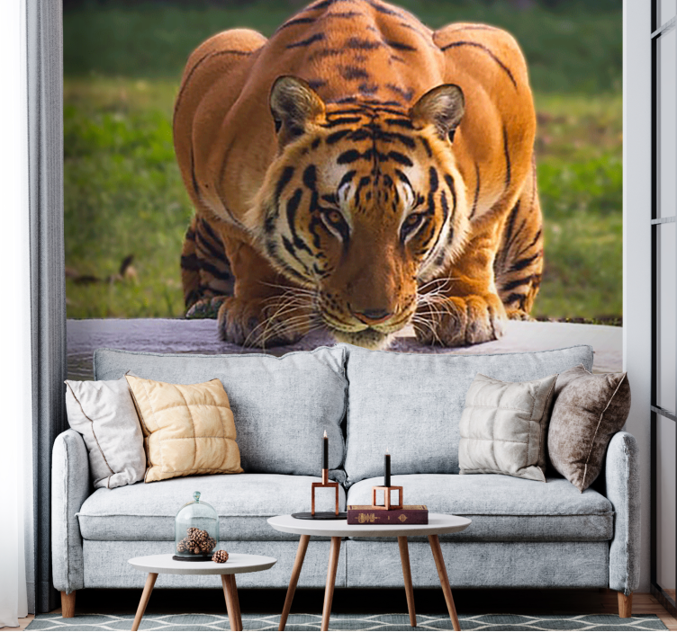 Menacing tiger drinking water wall mural - TenStickers