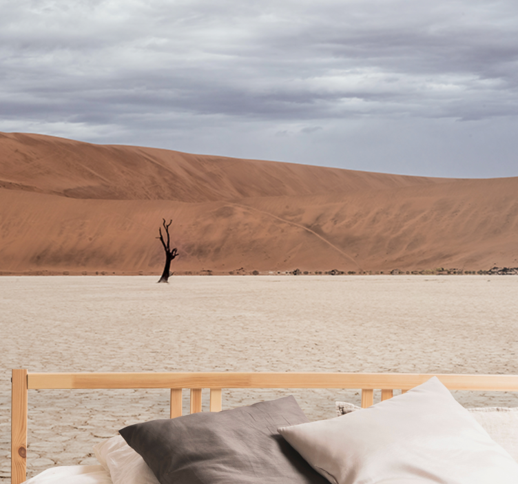 Mountain wall mural desert landscape view - TenStickers