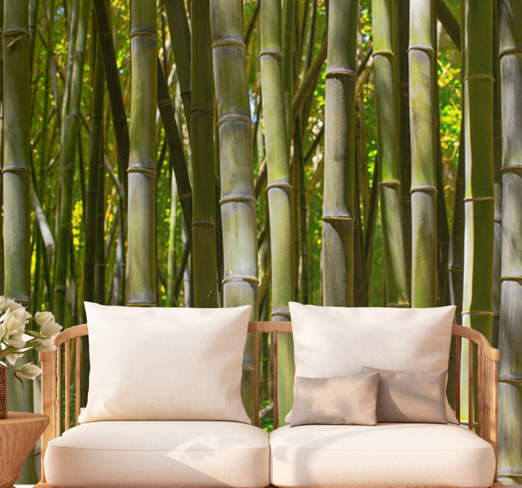 Natural bamboo forest tree mural - TenStickers