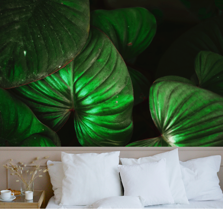 Nature wall mural lively green leaves - TenStickers