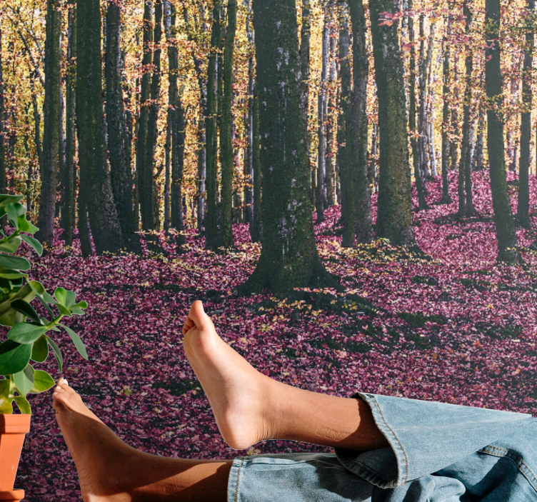 Nature wall mural serene forest scene - TenStickers