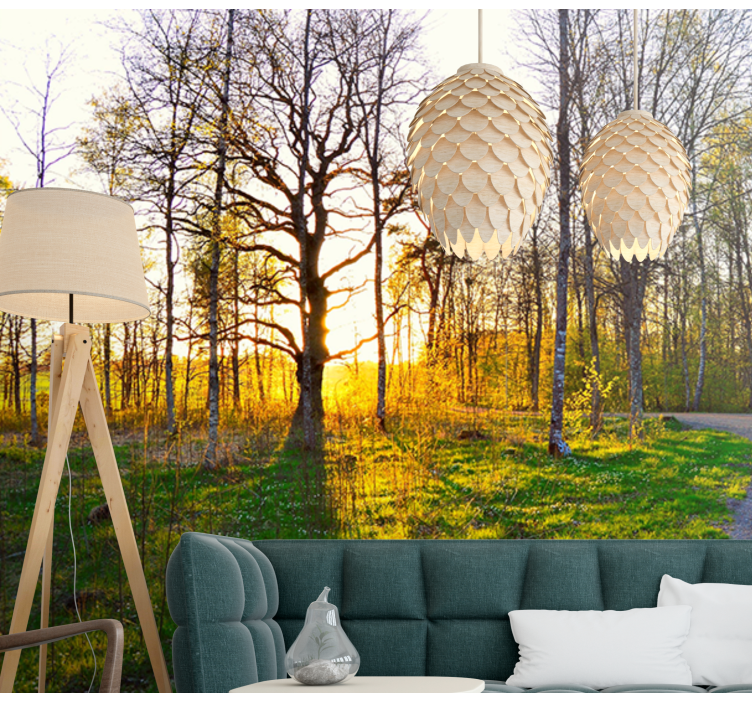 Nature wall mural sunny woodland trail - TenStickers