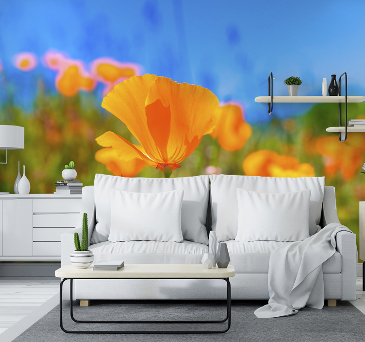 Orange poppies flower wall mural - TenStickers