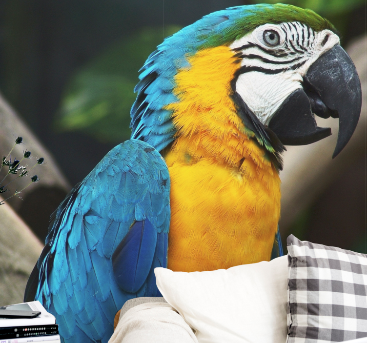 Caribbean Parrot wall mural - TenStickers