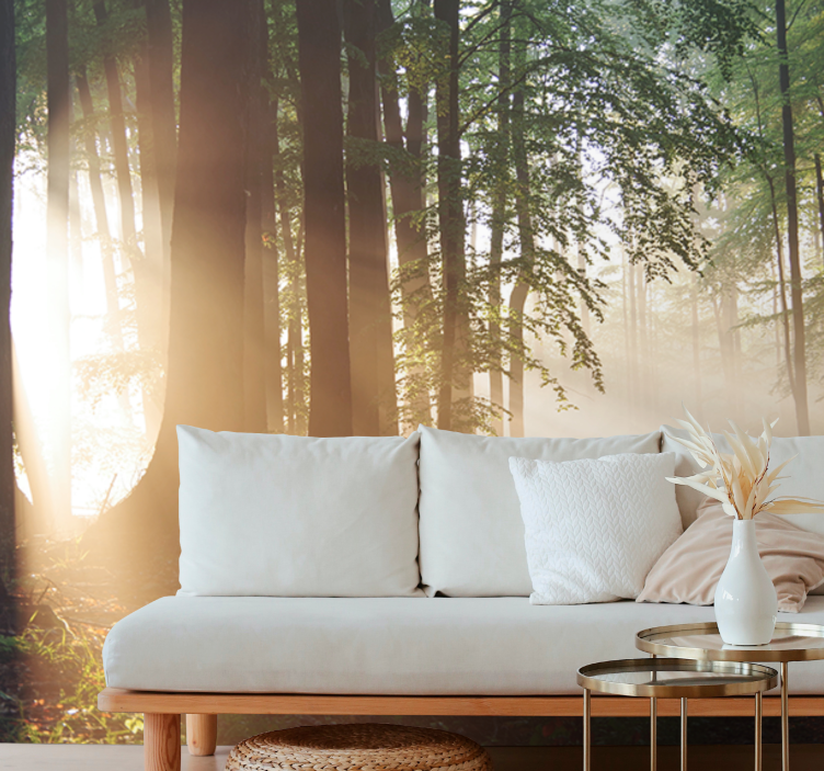 Pathway in the woods nature wall mural - TenStickers