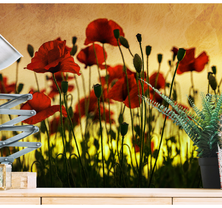 Poppy wall mural poppy flower blossom - TenStickers