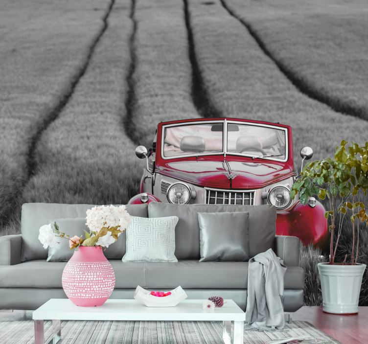 Rusty red car black and white wall mural - TenStickers